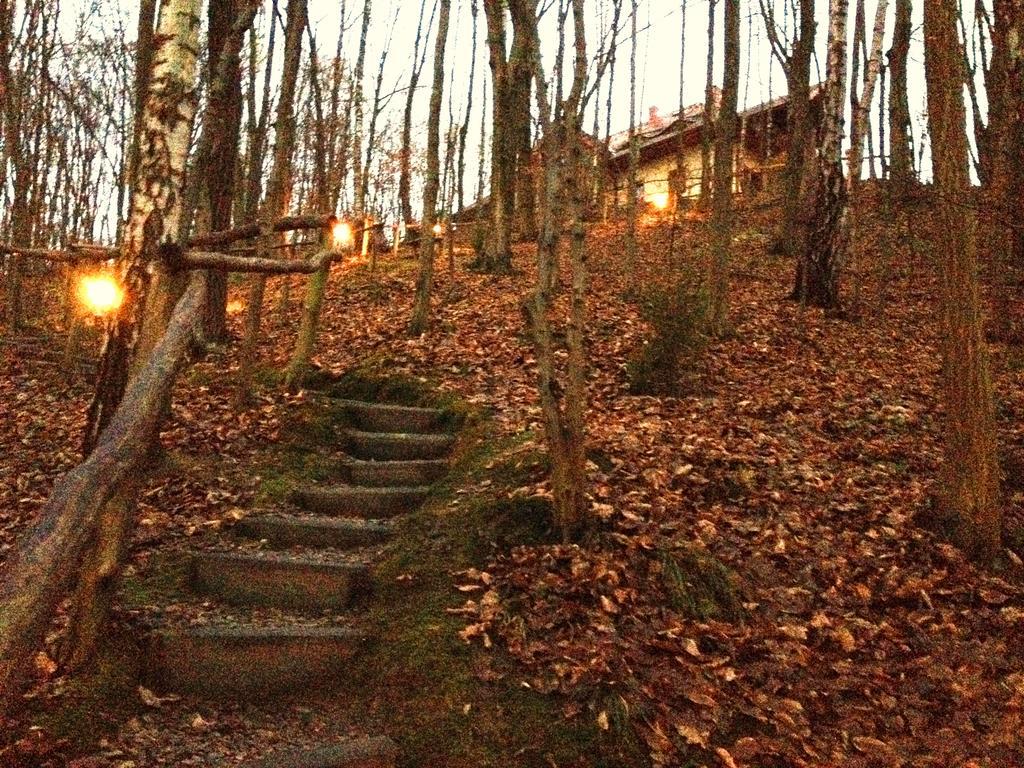 Osrodek Kwaskowa Villa Kazimierz Dolny Exteriör bild