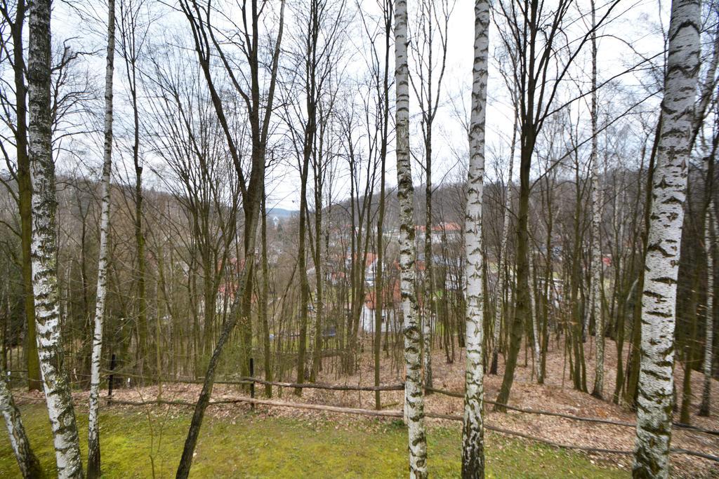 Osrodek Kwaskowa Villa Kazimierz Dolny Exteriör bild